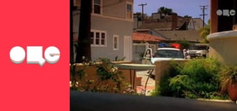 Т/с "CSI: Місце злочину - Маямі", 4 сезон, 22 с.