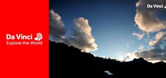 Animal Anarchists - Why Cicadas Don’t Like the Wasp