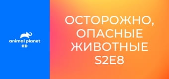 Осторожно, опасные животные S2E8 - Утащенный под воду