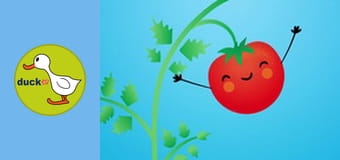 Happy Garden - Tomato