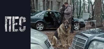 Dog, Season 6, Episode 31