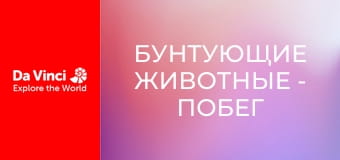 Бунтующие животные - Побег от осы