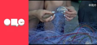 Кохання на виживання, 1 сезон, 2 еп.