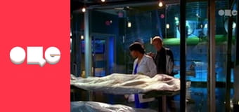 Т/с "CSI: Місце злочину - Маямі", 7 сезон, 15 с.