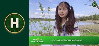 Знають навіть діти