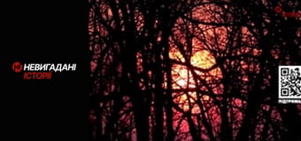 Невигадані історії.