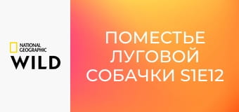 Поместье луговой собачки S1E12 - Большая овца