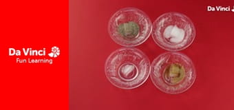 Розумна наука - Перегони з таненням криги