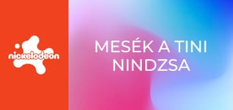 Mesék a tini nindzsa teknőcökről S1E6 - A Mechazoidok éjszakája