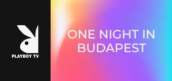 One Night In Budapest