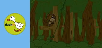 Mimo & Bobo - In the rain forest