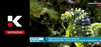 Цікаві факти.