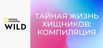 Тайная жизнь хищников: Компиляция S1E2