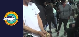 Freelance - Twilight Freelance - Twilight