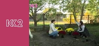 Квадратний метр E13