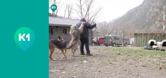 "Інший світ".