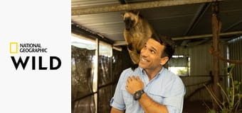 Построенный, чтобы выжить S1E4