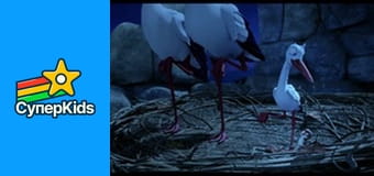 Трио в перьях