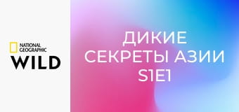 Дикие секреты Азии S1E1 - Юные и дикие