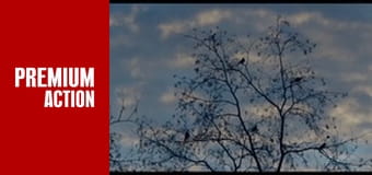 Гра пам'яті