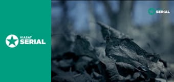 Д/с "Формування серійного вбивці", 2 сезон, 6 с. "Метью Гоффман".