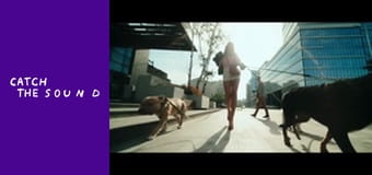 DOROFEEVA - Муракамі (OST «Песики») DOROFEEVA - Муракамі (OST «Песики»)