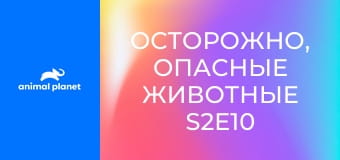 Осторожно, опасные животные S2E10 - Опасность рядом