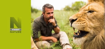 Наука про великих котів