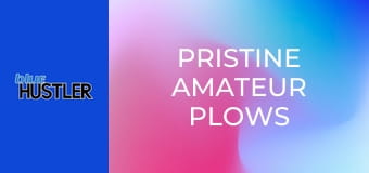 Pristine Amateur Plows