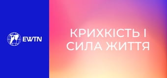 Крихкість і сила життя (проповідь єпископа Миколи Петра Лучка ОР).