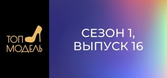 Сезон 1, Выпуск 16