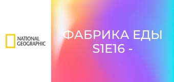 Фабрика еды S1E16 - Пицца и картошка фри