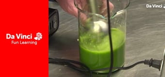 DIY SCI - Food Science