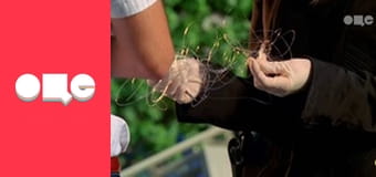 Т/с "CSI: Місце злочину - Маямі", 7 сезон, 17 с.