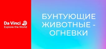 Бунтующие животные - Огневки ленивца и их слишком медлительный хозяин