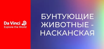 Бунтующие животные - Насканская олуша - плохой старший брат