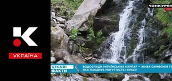 Цікаві факти.