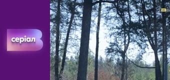 "История одного преступления", 2 сезон, 36 эп. "Судья".