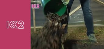 Шість соток S1E26 Шість соток S1E26