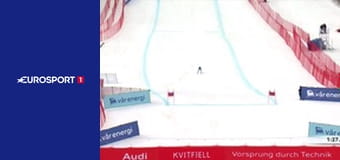 Горнолыжный спорт. Кубок мира. Финал в Квитфьелле, Норвегия. Женщины. Скоростной спуск.