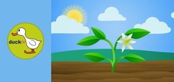 Happy Garden - Bell Peppers