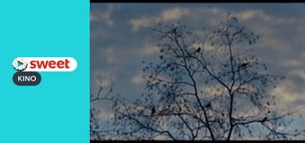 Игра памяти