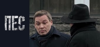 Dog, Season 6, Episode 37