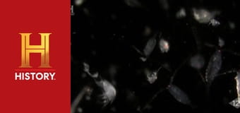 Древние пришельцы, 8 сезон, 7 эп. Обитатели глубин.