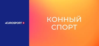 Конный спорт. AlFursan Endurance AlUla в Саудовской Аравии.