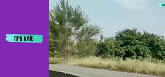 Кафе "Пінгвін" на Куренівці. Історія створення та сьогодення. Культові місця Києва #1.