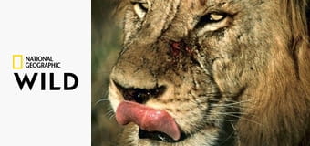 Созданные убивать S4E2 - Полярный медведь