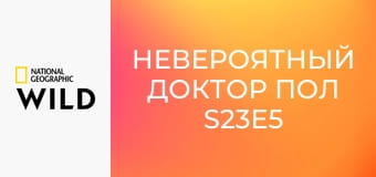 Невероятный доктор Пол S23E5