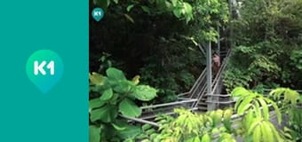 "Пригоди з Яною Метьолкіною".