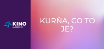 Kurňa, co to je? Kurňa, co to je?